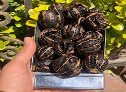 خرید بهترین انواع لیمو عمانی پوست کنده با قیمت ارزان