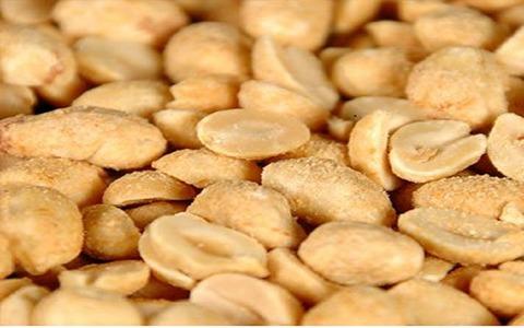 قیمت بادام هندی نمکی + مشخصات بسته بندی عمده و ارزان